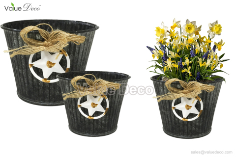 ZCV00626 (Metal Flower Pot With Star Ring Accessory)
