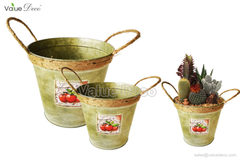 ZCV00699 (Fruit Decal Design Metal Flower Planter)