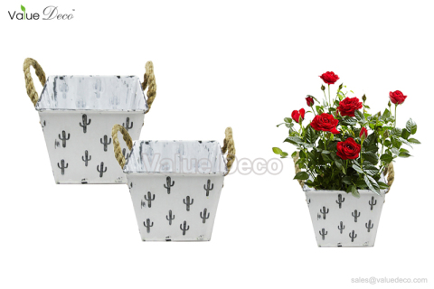 ZCV00721 (Cactus Design Zinc Pot)