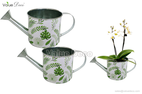 ZCV00965 (Tropical Plants Design Metal Watering Can)