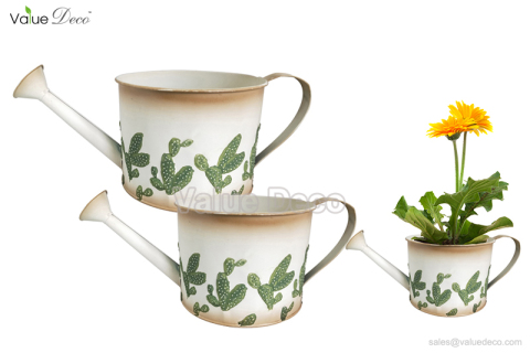 ZCV01063 (Cactus Design Metal Watering Can)