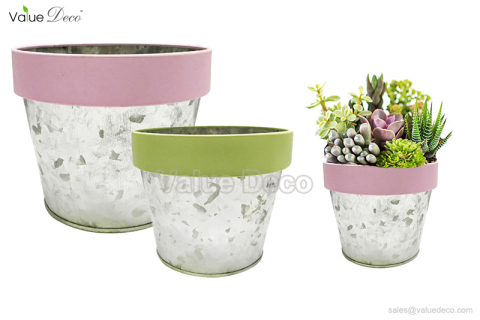 ZCV01265 (Zinc Flower Pot With Top Color Band)